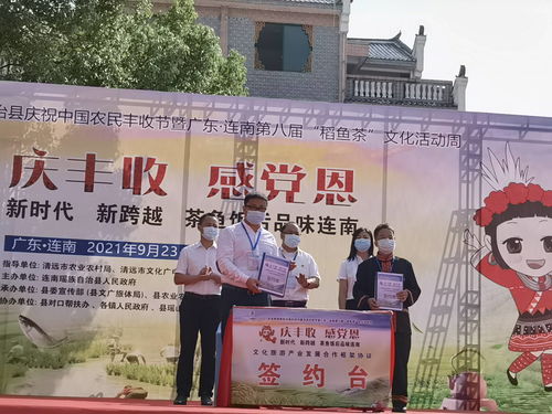 連南第八屆稻魚茶文化活動周盛大開幕，推動文化藝術(shù)交流新篇章